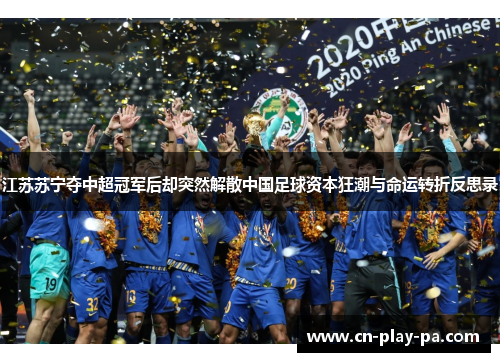 江苏苏宁夺中超冠军后却突然解散中国足球资本狂潮与命运转折反思录